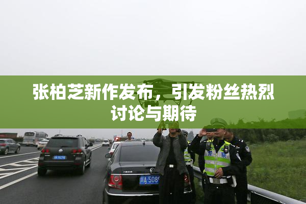张柏芝新作发布，引发粉丝热烈讨论与期待