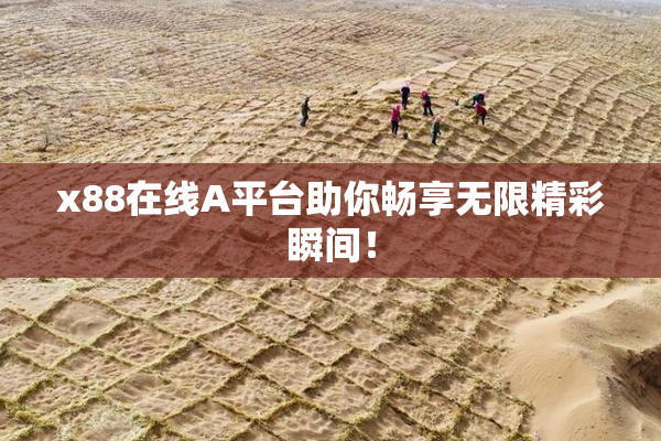 x88在线A平台助你畅享无限精彩瞬间！