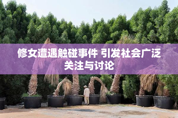修女遭遇触碰事件 引发社会广泛关注与讨论