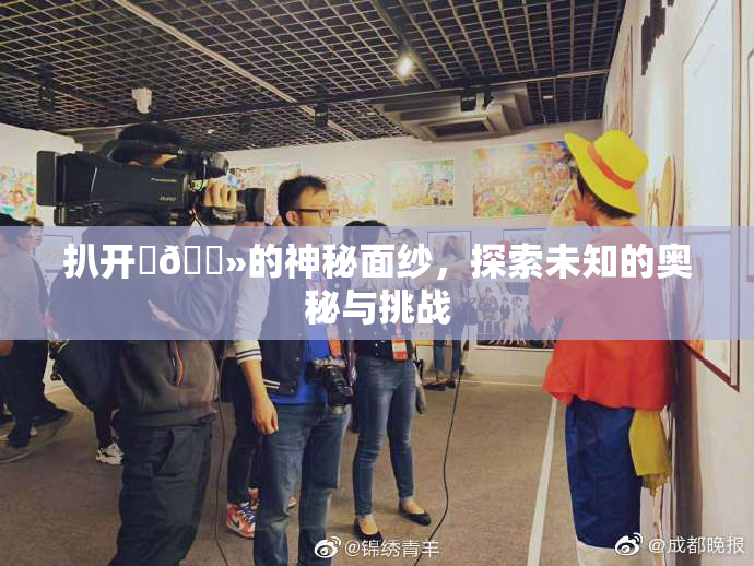 扒开‌🐻的神秘面纱，探索未知的奥秘与挑战