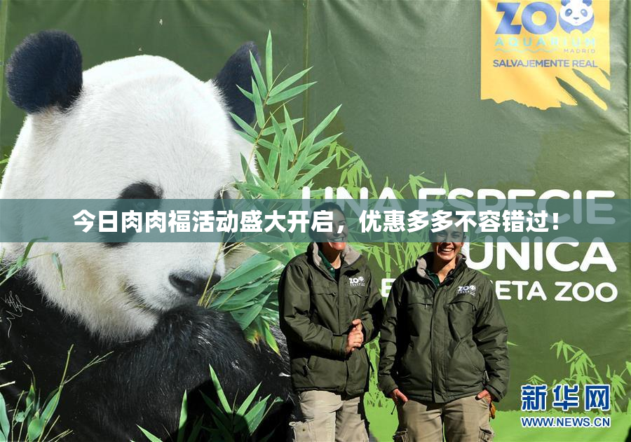 今日肉肉福活动盛大开启，优惠多多不容错过！