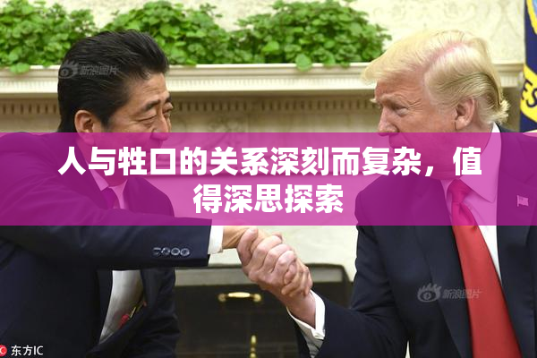人与牲口的关系深刻而复杂，值得深思探索