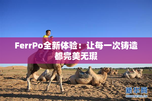 FerrPo全新体验：让每一次铸造都完美无瑕