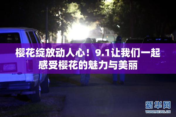 樱花绽放动人心！9.1让我们一起感受樱花的魅力与美丽