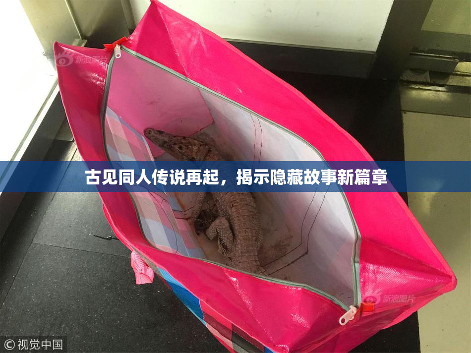 古见同人传说再起，揭示隐藏故事新篇章