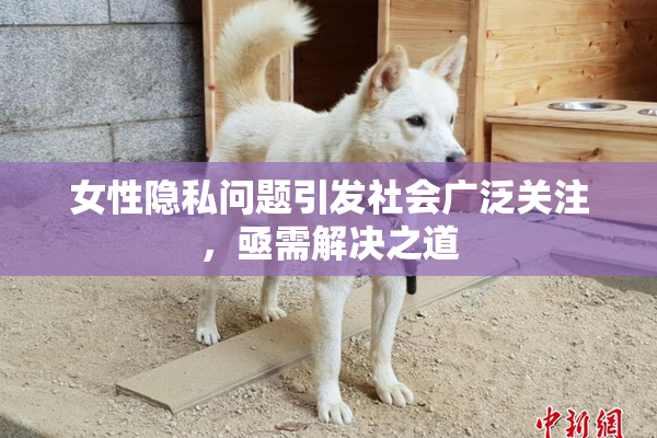 女性隐私问题引发社会广泛关注，亟需解决之道