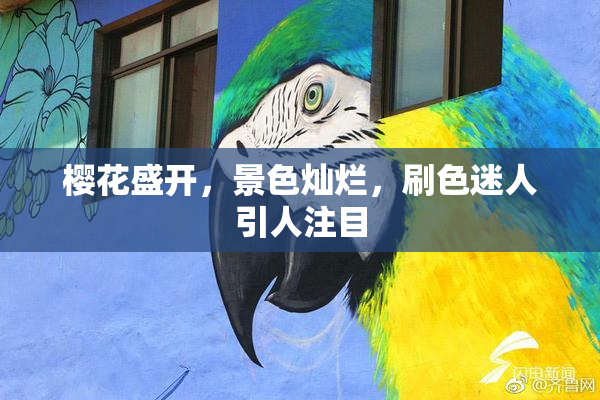 樱花盛开，景色灿烂，刷色迷人引人注目