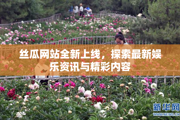 丝瓜网站全新上线，探索最新娱乐资讯与精彩内容