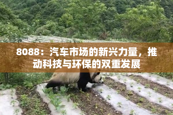 8088：汽车市场的新兴力量，推动科技与环保的双重发展