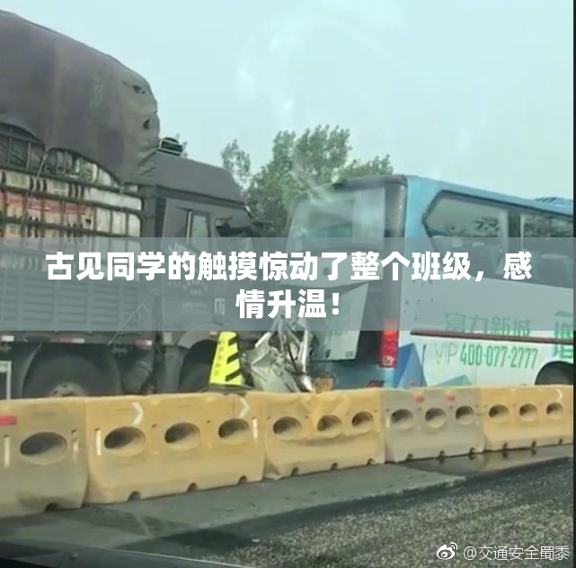 古见同学的触摸惊动了整个班级，感情升温！