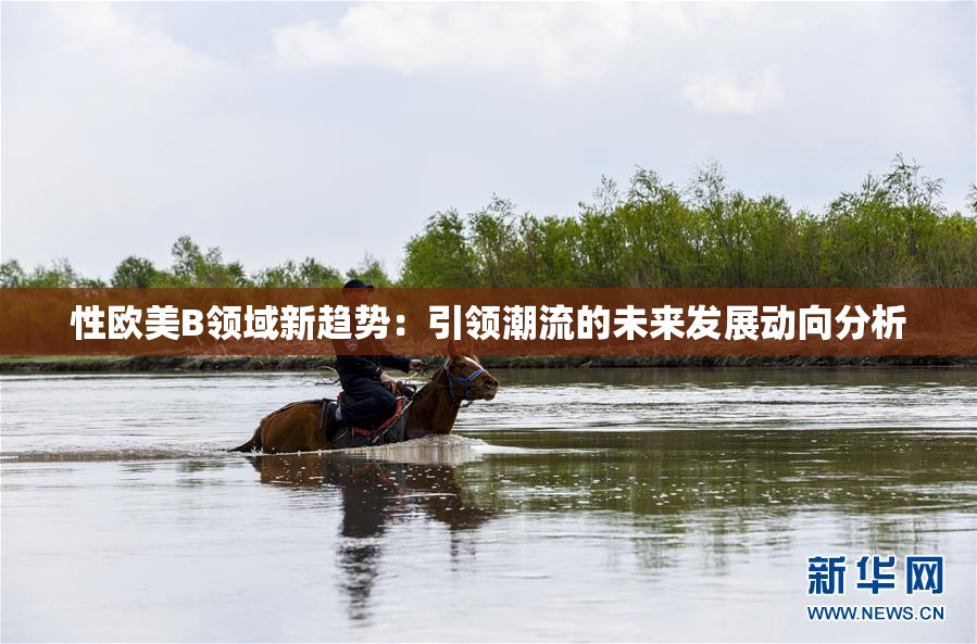 性欧美B领域新趋势：引领潮流的未来发展动向分析