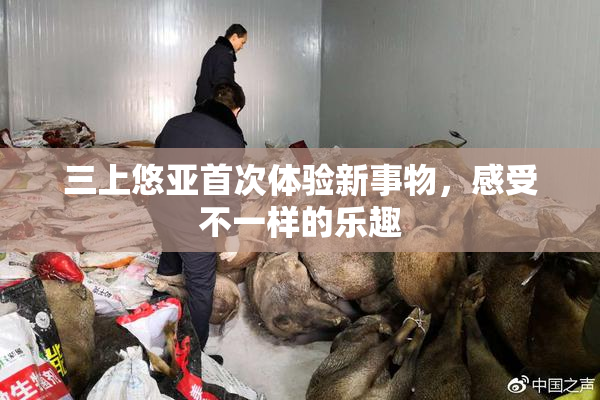 三上悠亚首次体验新事物，感受不一样的乐趣