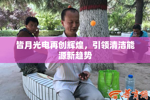 皆月光电再创辉煌，引领清洁能源新趋势