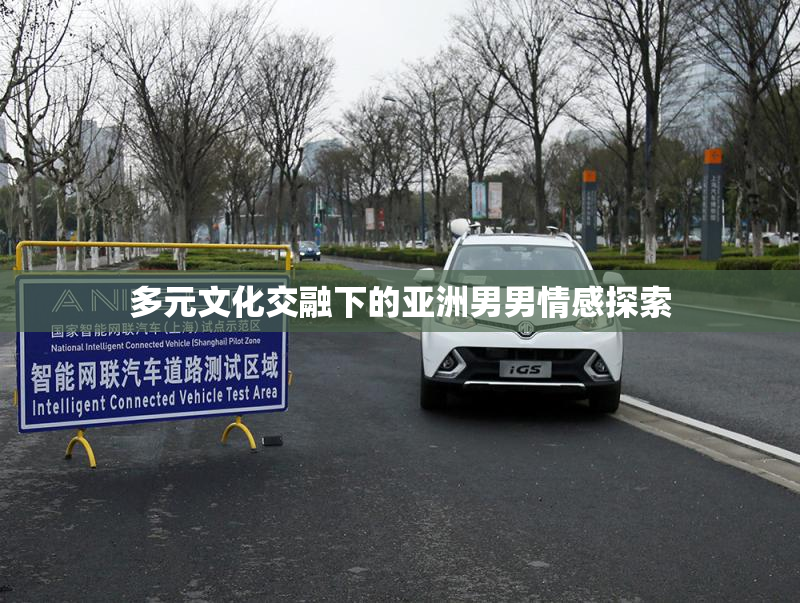 多元文化交融下的亚洲男男情感探索