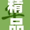 精品XX隆重上市，全新体验引领潮流风尚！