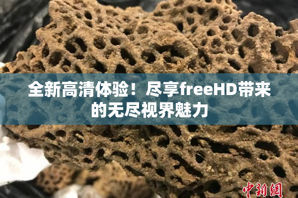 全新高清体验！尽享freeHD带来的无尽视界魅力