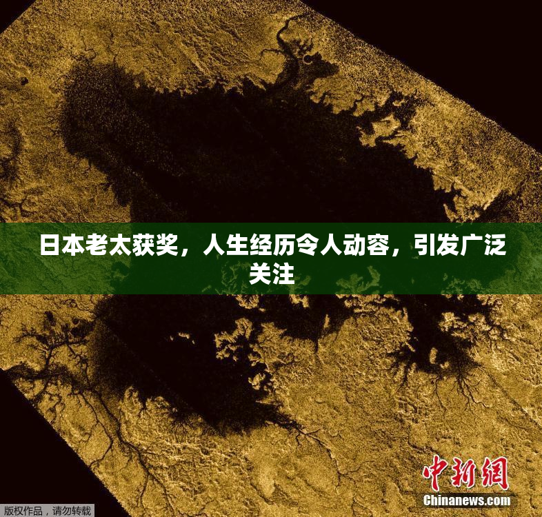 日本老太获奖，人生经历令人动容，引发广泛关注