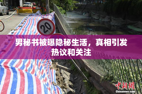 男秘书被曝隐秘生活，真相引发热议和关注