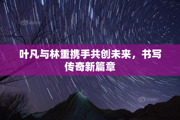 叶凡与林重携手共创未来，书写传奇新篇章