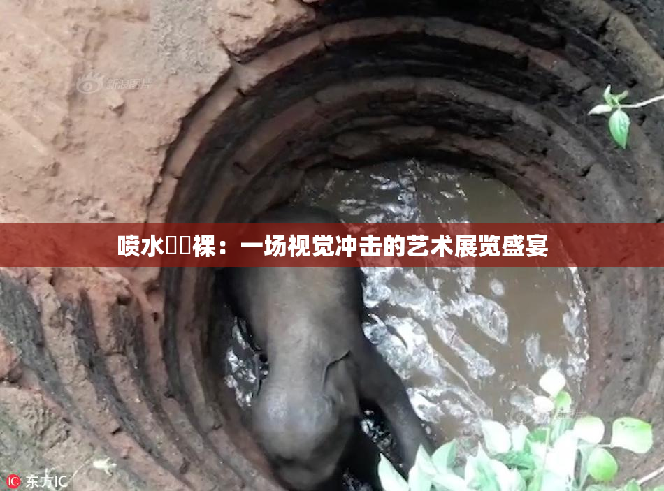 喷水❌‌裸：一场视觉冲击的艺术展览盛宴
