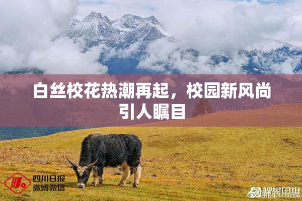 白丝校花热潮再起，校园新风尚引人瞩目