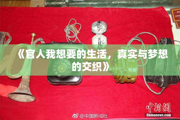 《官人我想要的生活，真实与梦想的交织》