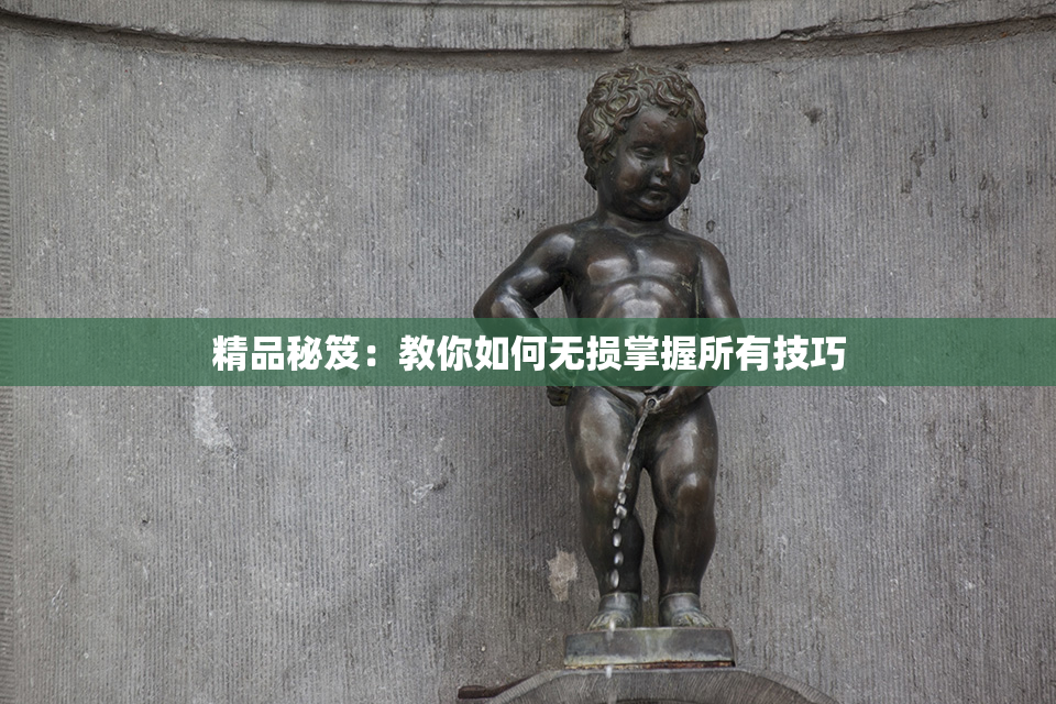 精品秘笈：教你如何无损掌握所有技巧