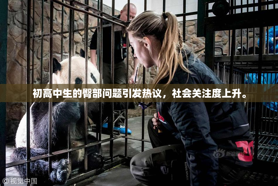 初高中生的臀部问题引发热议，社会关注度上升。