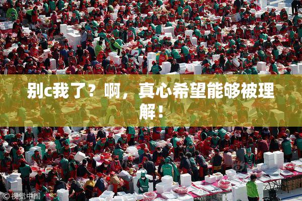别c我了？啊，真心希望能够被理解！