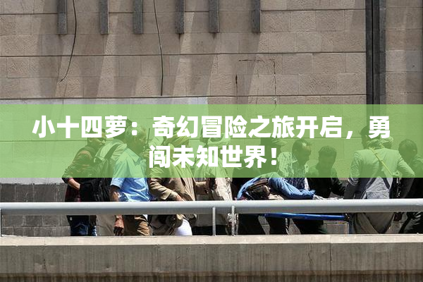 小十四萝：奇幻冒险之旅开启，勇闯未知世界！