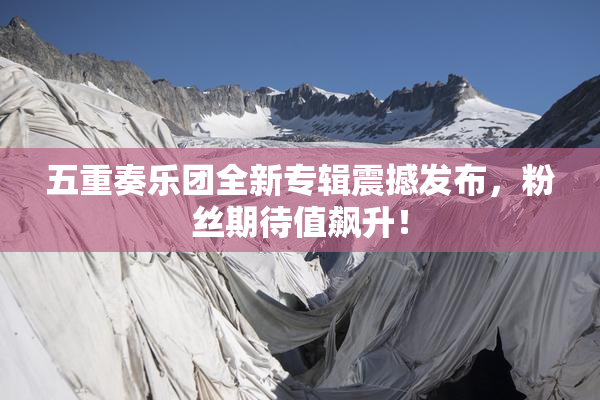 五重奏乐团全新专辑震撼发布，粉丝期待值飙升！