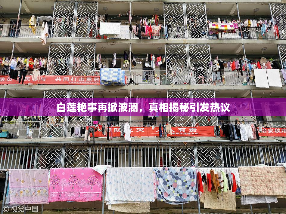 白莲艳事再掀波澜，真相揭秘引发热议