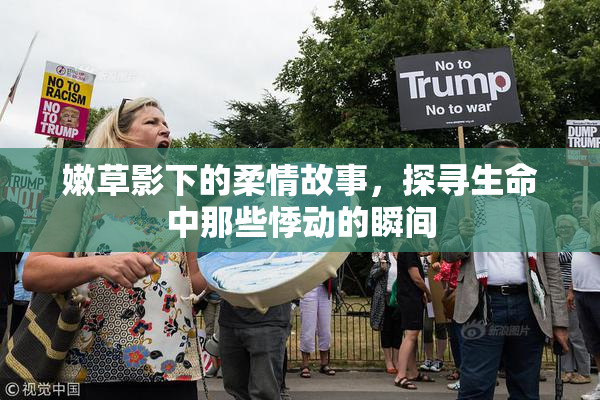 嫩草影下的柔情故事，探寻生命中那些悸动的瞬间