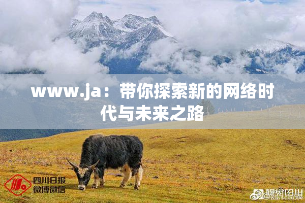 www.ja：带你探索新的网络时代与未来之路