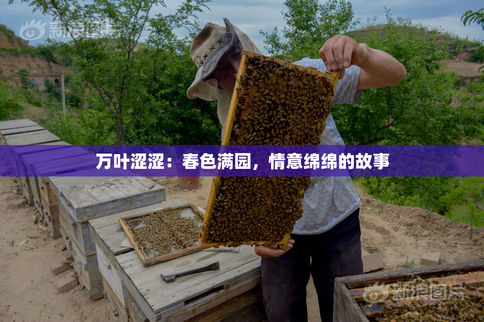 万叶涩涩：春色满园，情意绵绵的故事