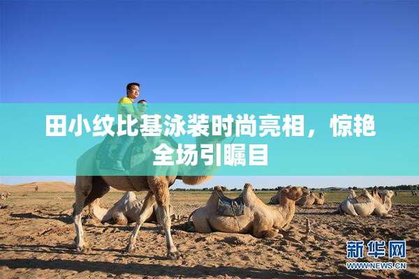 田小纹比基泳装时尚亮相，惊艳全场引瞩目