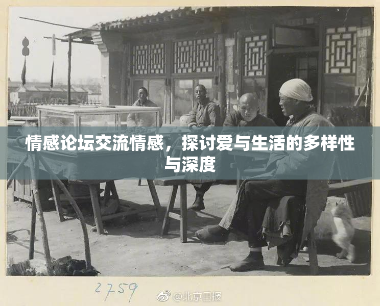 情感论坛交流情感，探讨爱与生活的多样性与深度