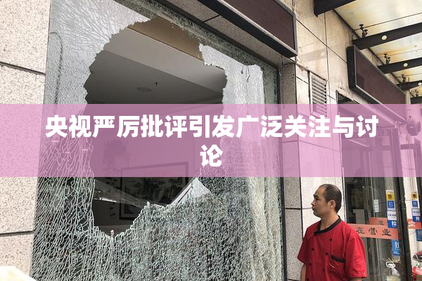 央视严厉批评引发广泛关注与讨论