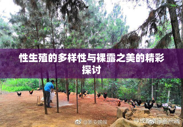 性生殖的多样性与裸露之美的精彩探讨