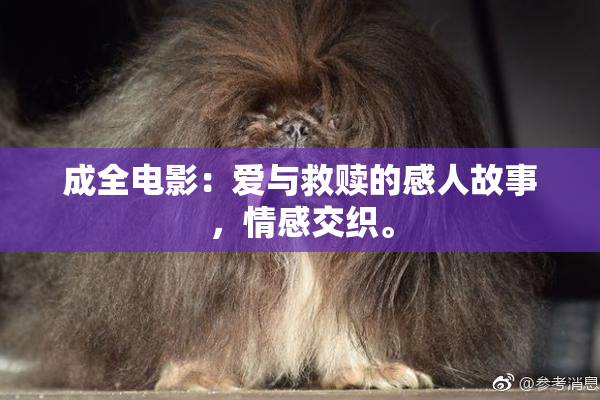 成全电影：爱与救赎的感人故事，情感交织。