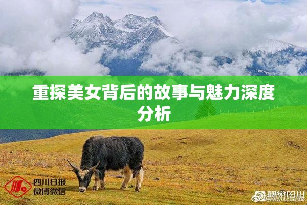 重探美女背后的故事与魅力深度分析