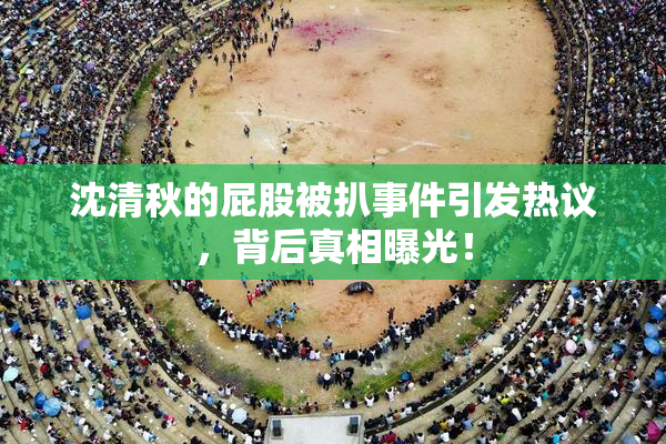 沈清秋的屁股被扒事件引发热议，背后真相曝光！