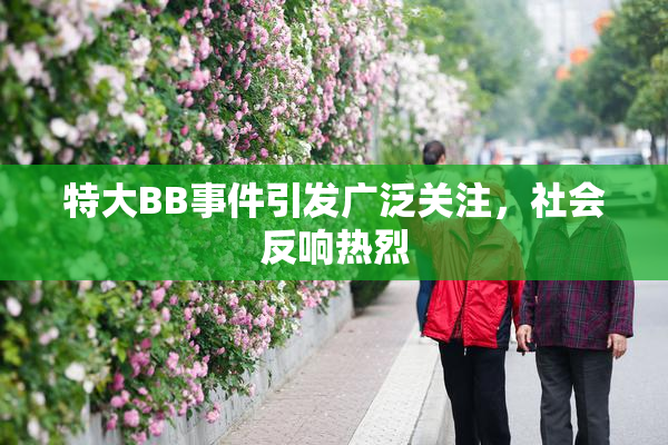 特大BB事件引发广泛关注，社会反响热烈