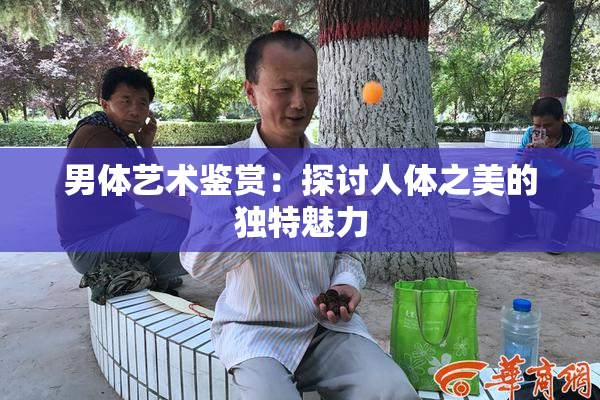 男体艺术鉴赏：探讨人体之美的独特魅力
