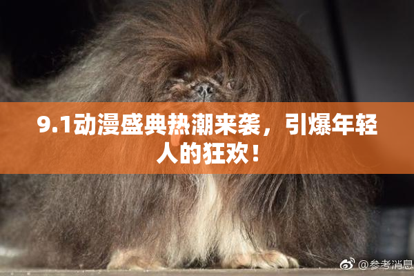 9.1动漫盛典热潮来袭，引爆年轻人的狂欢！