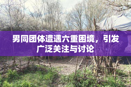 男同团体遭遇六重困境，引发广泛关注与讨论