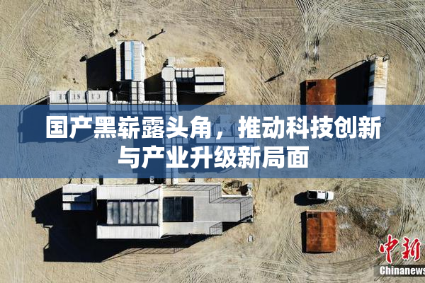 国产黑崭露头角，推动科技创新与产业升级新局面