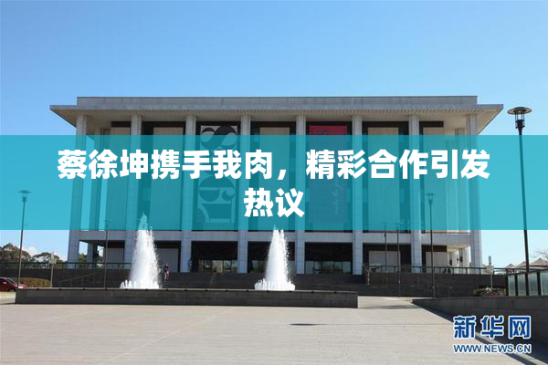 蔡徐坤携手我肉，精彩合作引发热议
