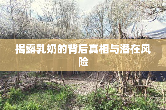 揭露乳奶的背后真相与潜在风险