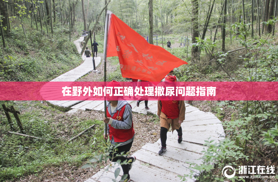 在野外如何正确处理撒尿问题指南